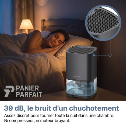 Déshumidificateur silencieux 2 en 1 pour air intérieur