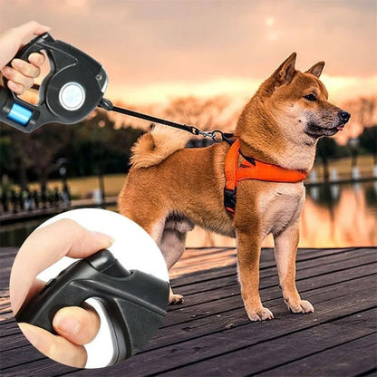 Laisse extensible à LED pour chien