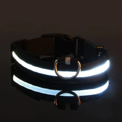 Collar y correa luminosos para perro