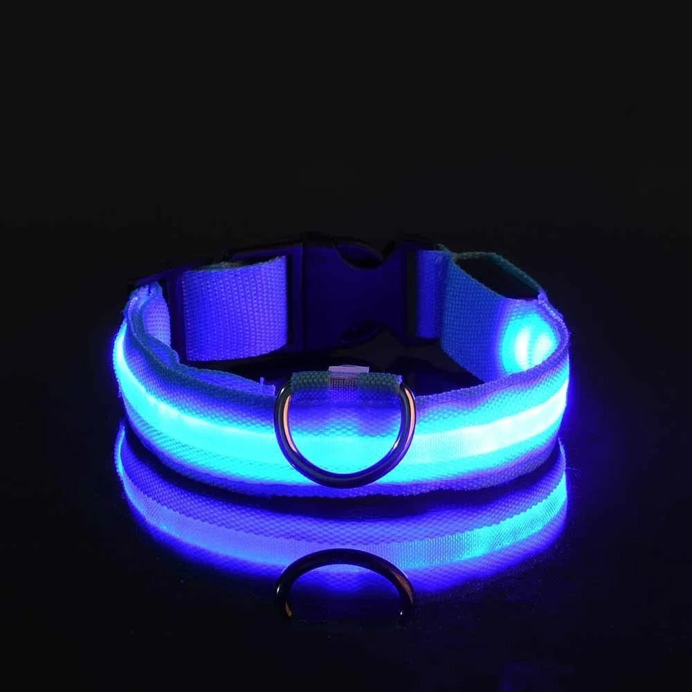 Collar y correa luminosos para perro