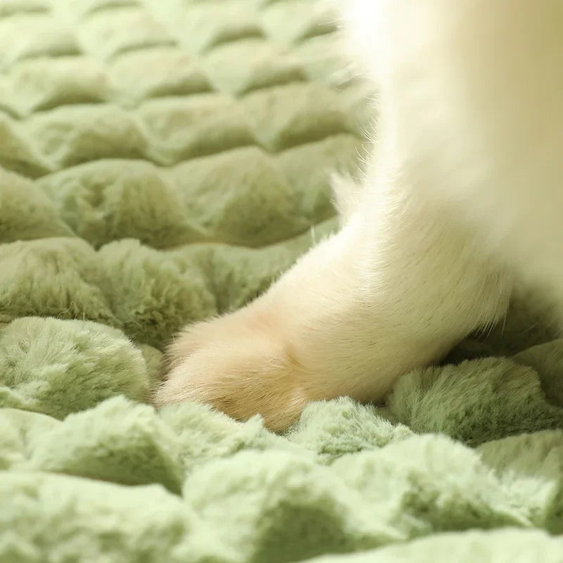 Tapis de en fibres synthétiques moderne