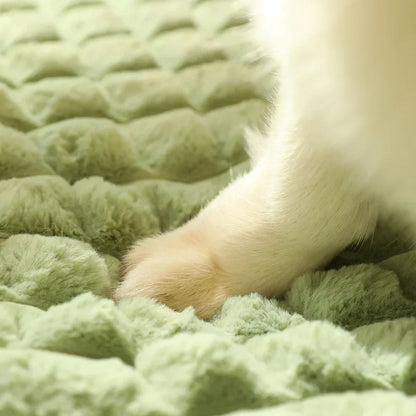 Tapis de en fibres synthétiques moderne