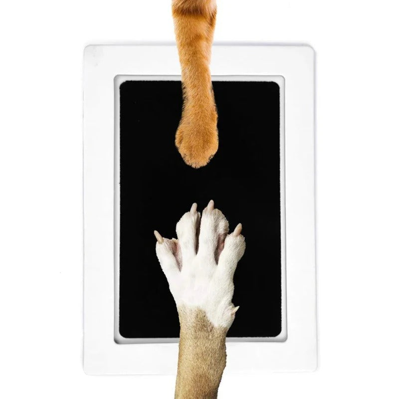 Cadre photo souvenir en bois pour empreinte d'animaux