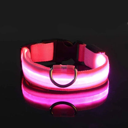 Collar y correa luminosos para perro