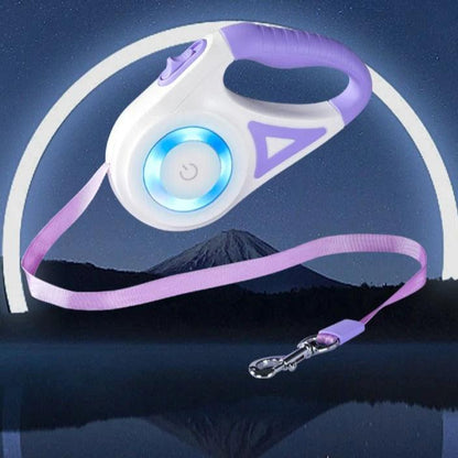 Laisse rétractable lumineuse pour chien LED