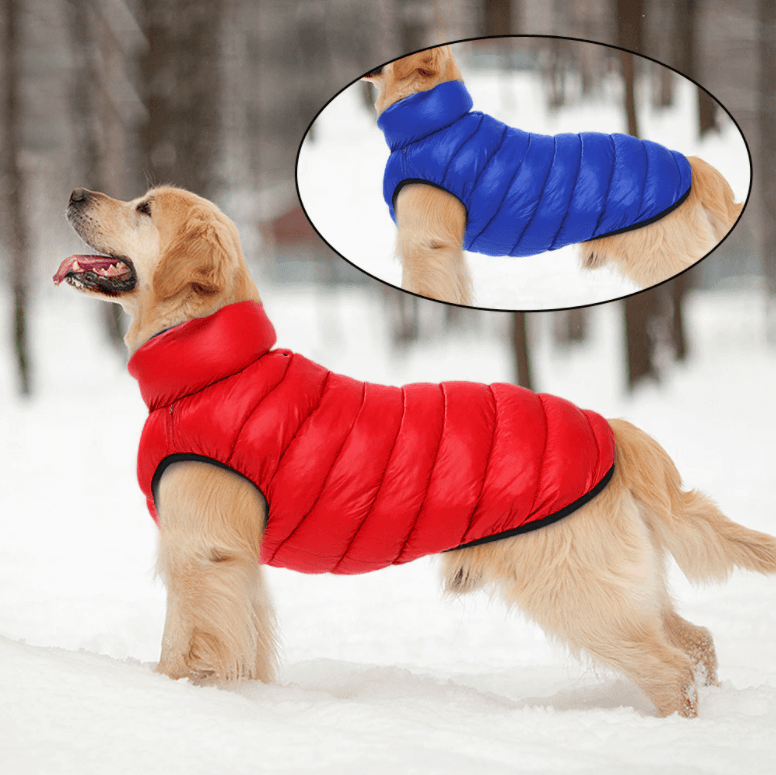 Chaqueta impermeable de doble cara para perro
