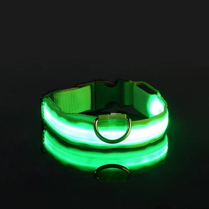 Collar y correa luminosos para perro