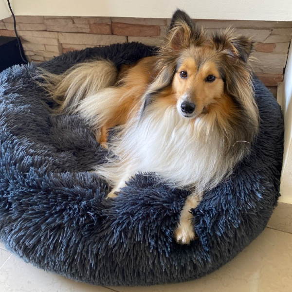 Cojín acogedor para perros - Cama lavable para perros